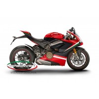 Carbonvani - Ducati Panigale V4 / S / Speciale "TRICOLORE Ver 4" Design Carbon Fiber Full Fairing Kit - ROAD VERSION (8 pieces)